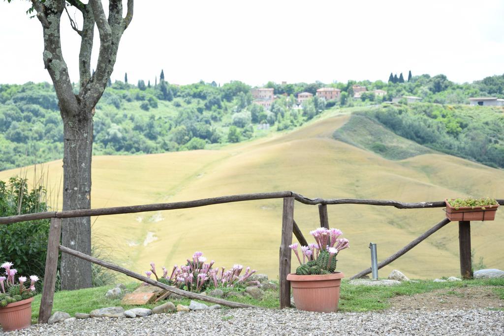 Appartamento Crete Senesi Castelnuovo Berardenga Extérieur photo