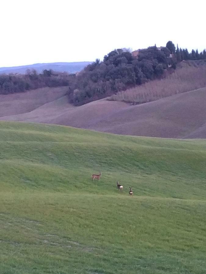 Appartamento Crete Senesi Castelnuovo Berardenga Extérieur photo